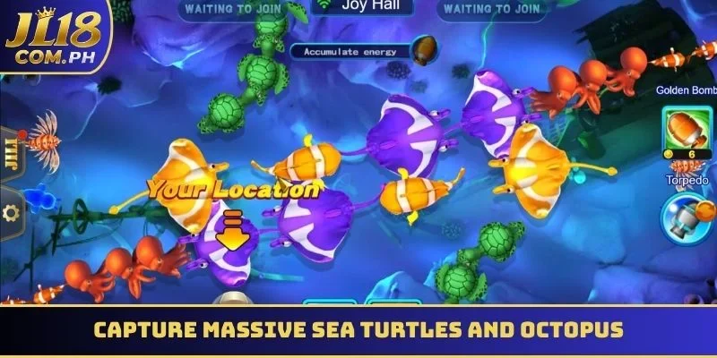 Capture massive sea turtles and octopus for huge casino rewards
