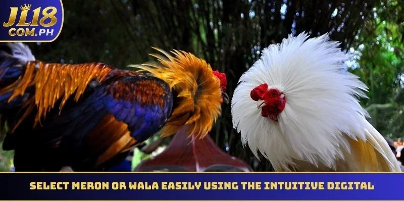 Select Meron or Wala easily using the intuitive digital interface